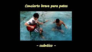 Concierto breve para patos rock humor musica magic [upl. by Anana154]