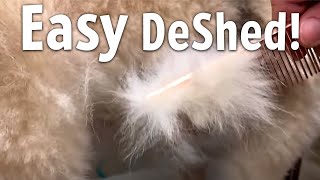 Easiest way to DESHED Any DOG at Home [upl. by Herrera]