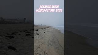 Rosarito Beach México Today Oct 5th 2024 64° little wind we are going clamming later [upl. by Pietra]