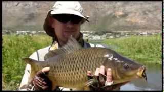 Stalking carp on fly with Sean Mills [upl. by Fu125]