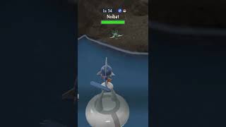 Shiny noibat pokemon shinypokemon shinyhunting [upl. by Burnside]