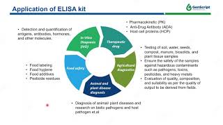 Tips for Successful ELISA kit Development [upl. by September]