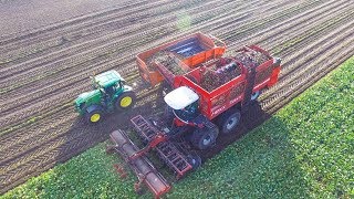 12 rijige bietenrooier  Agrifac HexxTraxx  Rovers Boekel [upl. by Neih886]