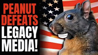 Mainstream Media PANICS Losing Control of America Voters REJECT News Side with PEANUT [upl. by Seebeck]