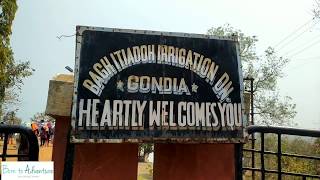 नवेगाव बांध । इटीयाडोह । Navegaon Bandh  Itiyadoh Dam  Gondia [upl. by Lindo]