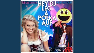 Hey DJ leg a Polka auf Kloß mit Soß Remix [upl. by Nagram944]