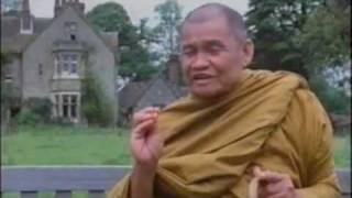 Compilation of Ajahn Chahs Teaching หลวงปู่ชา Ajahn Chah Theravada Buddhism [upl. by Worlock]