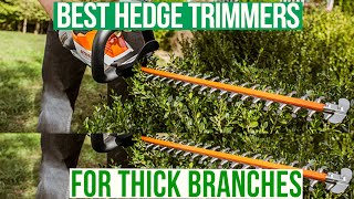 Best Hedge Trimmers For Thick Branches Pros and Cons Discussed Our Best Choices [upl. by Gertrude]