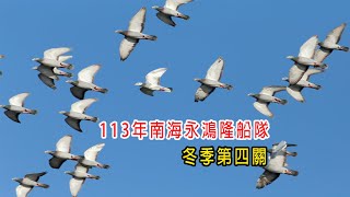 20241124 南海 冬季 第四關 海上 放鴿 Taiwan pigeon racing [upl. by Yhtorod687]