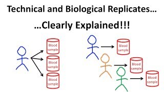 The Difference Between Technical and Biological Replicates [upl. by Huba]