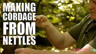 Making Cordage from Nettles [upl. by Lorenza744]