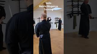 Iaido Mugairyu Training kenjutsu iaido samurai [upl. by Anahc]