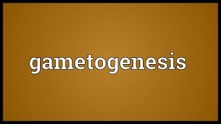 Gametogenesis Meaning [upl. by Sausa]