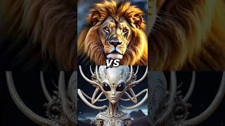 Alian vs wild animals  Lion panther tiger  wolf  trending tiger [upl. by Etnauj543]