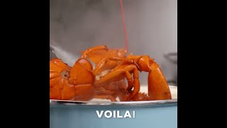 How To Steam Lobster [upl. by Aihsenak]