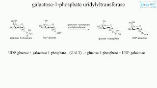 galactose 1 phosphate uridylyltransferase English  Medical terminology for medical students [upl. by Truitt]