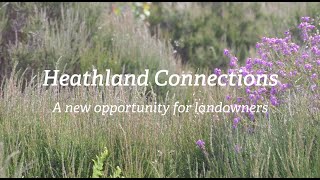 Heathland Connections  A new opportunity for landowners [upl. by Icart394]