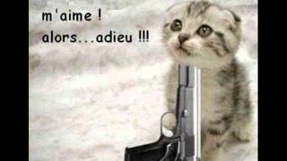 Montage photo de chaton triste [upl. by Jamila]