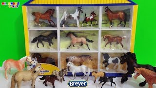 Coleccion de Caballos 🐎 de Breyer  Videos para niños  Mimonona Stories [upl. by Notsrik]