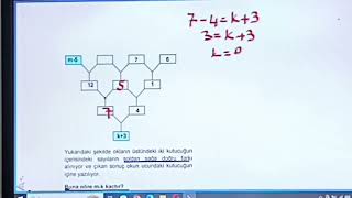 7 SINIF SAYISAL MANTIK SORULARI [upl. by Lenroc]