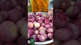 Onion recipe cookingshortviralvideofunnyshortvideoonion cooking [upl. by Nekcerb]