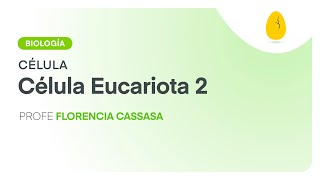 Célula eucariota 2  Biología  Célula  V3  Egg Educación [upl. by Baiss]