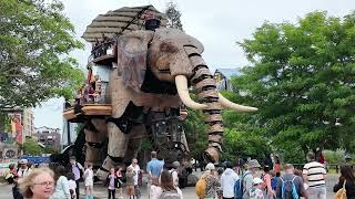 Nantes Giant Elephant [upl. by Atnahs594]