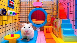 Explore the Epic Journey of Hamster Escaping DIY Maze 🐹 Hamster Maze [upl. by Zwiebel]