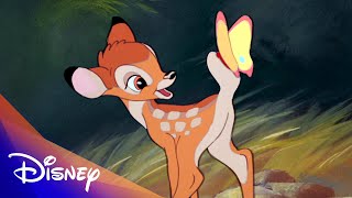 Bambi 80th Anniversary Compilation [upl. by Alilad141]