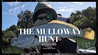 THE MULLOWAY HUNT episode 1 [upl. by Eidorb]