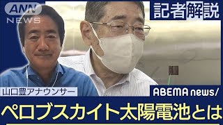 【解説】日本で“ノーベル賞級”発明 ペロブスカイト太陽電池とは 山口豊アナウンサー【ABEMA NEWS】2023年9月29日 [upl. by Jentoft]