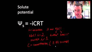 Water potential [upl. by Ronna]