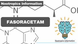 Fasoracetam  Nootropics Information [upl. by Eenaffit294]