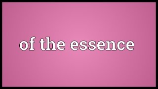 Of the essence Meaning [upl. by Evelin]