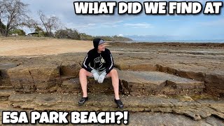 What Did We Find  Esa Park Beach  Metal Detecting Australian Beach [upl. by Duarte]