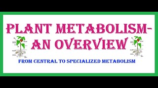 Plant Metabolism An Overview [upl. by Cristy]