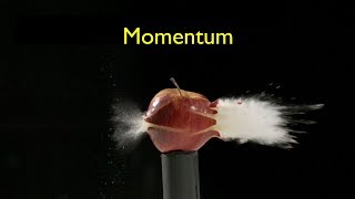 What Is Momentum [upl. by Caspar]