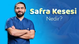 Safra kesesi nedir [upl. by Mir]