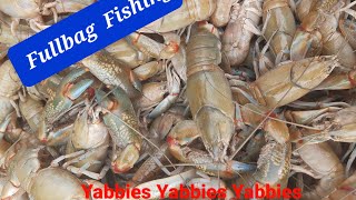 Yabbies Yabbies Yabbies [upl. by Adnuhser]