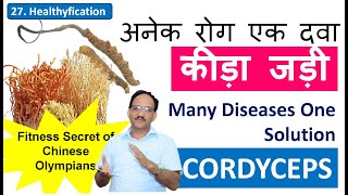 Many Diseases One Solution  Cordyceps  अनेक रोग एक दवा  Keeda Jadi  Himalayan Gold  SK Sharma [upl. by Ecineg980]