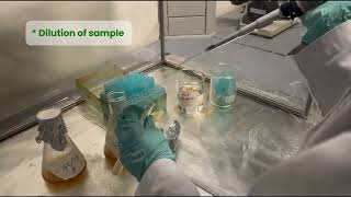 STB 3053 PRACTICAL 1  Batch Ethanol Fermentation by Saccharomyces cerevisiae  PART 3 [upl. by Krysta]