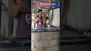 the ZOTTMAN CURL forearms arms workout fitness gym [upl. by Eidac961]