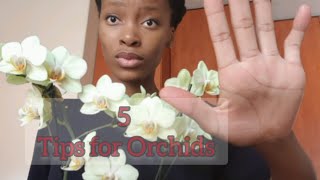 5 Orchid Care Tips  After blooms fall  Watering orchids Phalaenopsis Orchids [upl. by Annawoj]