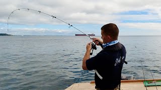 Sea Fishing UK  Exploring a new area catches MONSTER PB FISH  The Fish Locker [upl. by Atekal]