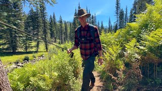 Chasing Giant Wild Trout in Arizonas White Mountains  Solo Truck Camper Life [upl. by Jameson]