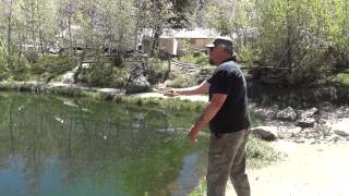 Tenkara fly fishing in Rons pond on Bishop creek [upl. by Annayak]