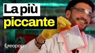 16 milioni di punti nella scala Scoville abbiamo assaggiato la capsaicina pura ed è piccantissima [upl. by Mischa]