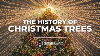 The History of Christmas Trees  One Tree Planted [upl. by Llewop]