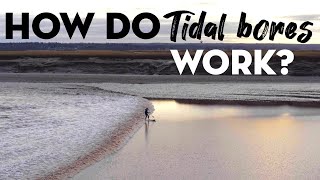 How do Tidal Bores Work [upl. by Onafets114]