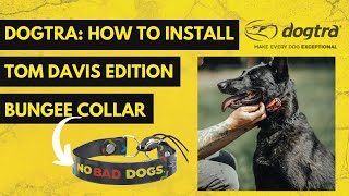 Tom Davis Bungee Collar Installation [upl. by Repsaj]